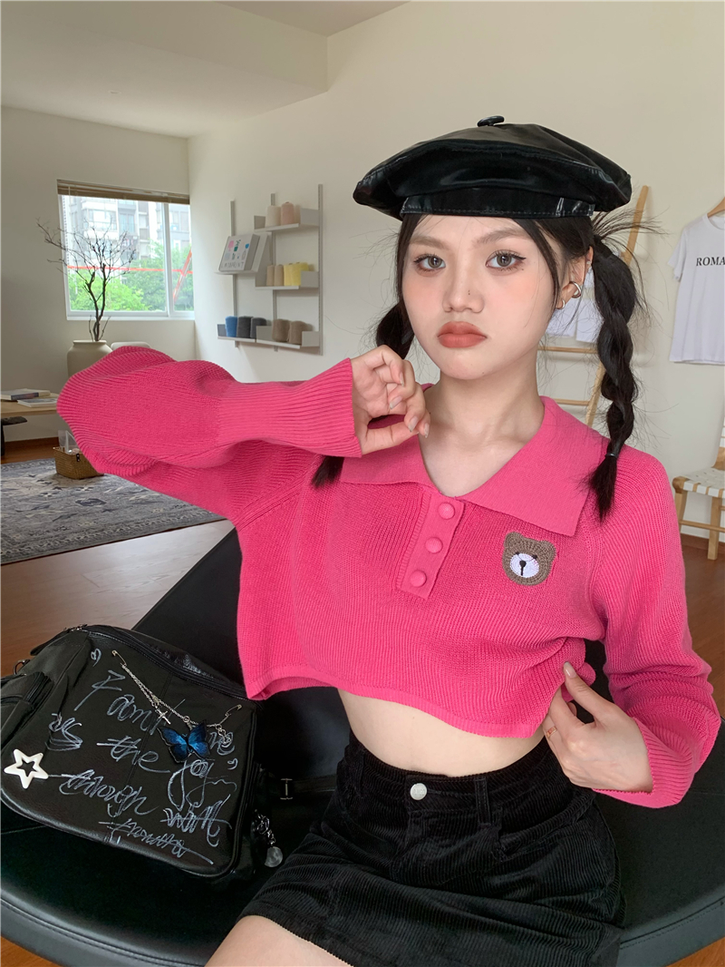 Real auction real price Embroidered bear polo collar irregular knitted sweater long-sleeved top