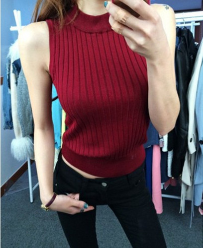 Korean women's pit strip, vertical strip, small high collar, slim fit, cover, bottoming, knitwear and vest