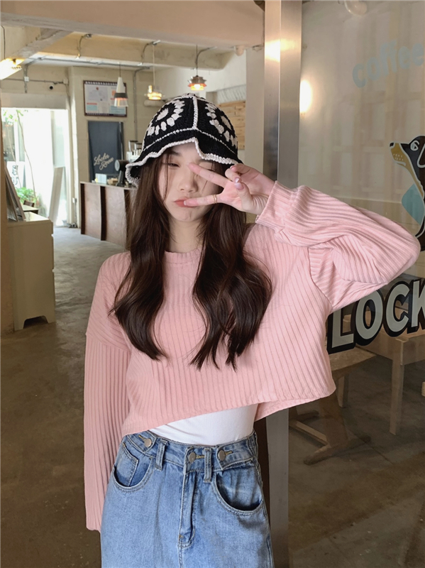 Real shooting real price loose design short lantern sleeve top Korean retro autumn niche lazy wind sweater