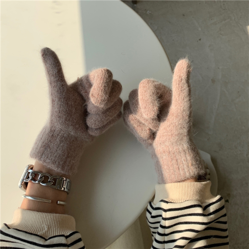 Korean rabbit hair gloves thickened student cold proof warm riding cute plush personality gift