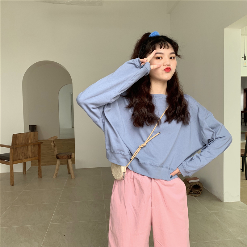 Real Price ~Multicolored Baitao Short Style Loose Round Neck Long Sleeve TEE 8 Colour Ingredient