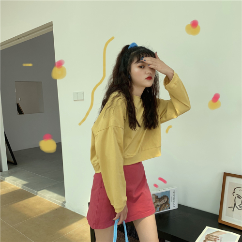 Real Price ~Multicolored Baitao Short Style Loose Round Neck Long Sleeve TEE 8 Colour Ingredient