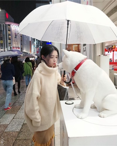 South Korea's new high-quality high neck sweater, fleece, commuter, thickened long sleeve T-shirt, women's loose