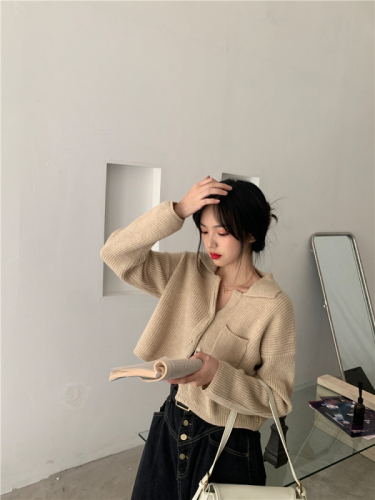 Hong Kong Style Coffee soft waxy knitted sweater, cardigan coat, spring new women's jacket