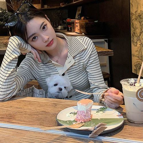 2021 spring and autumn new polo collar stripe knitted cardigan coat women's bottomed shirt design sense of minority long sleeve top