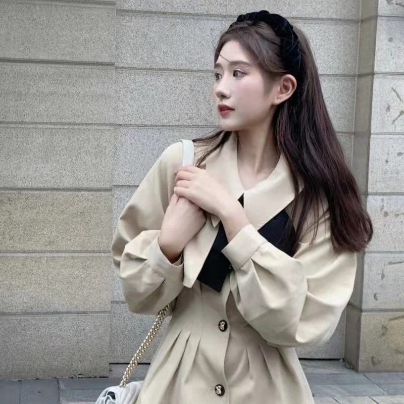 French long sleeve dress women's design sense of minority new spring and autumn short skirt shows thin temperament skirt