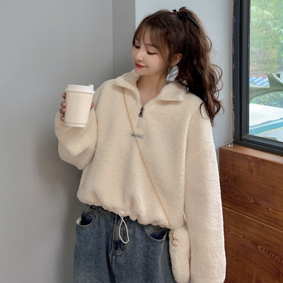 Actual picture 300g imitation cashmere short letter Plush thickened Hoodie women's loose fashion