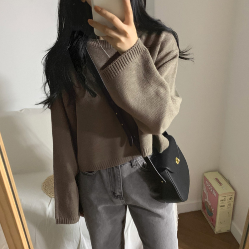 Korean Chic Autumn and Winter New Basic Short Sleeve Sweaters
