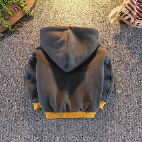 Boys' autumn and winter wear Plush sweater 2020 new children's winter Hoodie Boys' handsome and thick coat