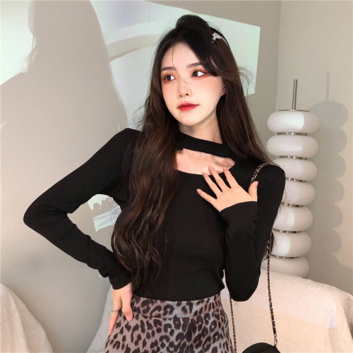Real price 90% fiber 10% spandex de velvet thickened frosted hollow bottomed shirt women's fashion