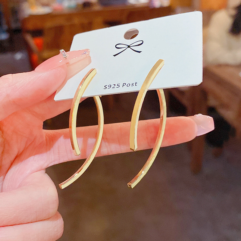 Real shot S925 silver needle cold wind Cross Earrings female metallic personalized fashion earrings