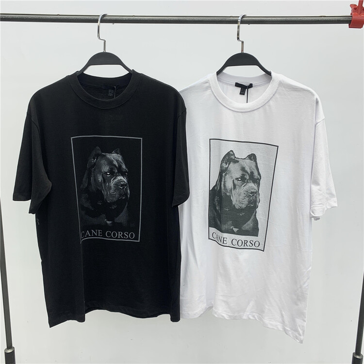 New year in early spring! [Banna harbor] crew neck versatile print short sleeve T-shirt t23256# ZZL