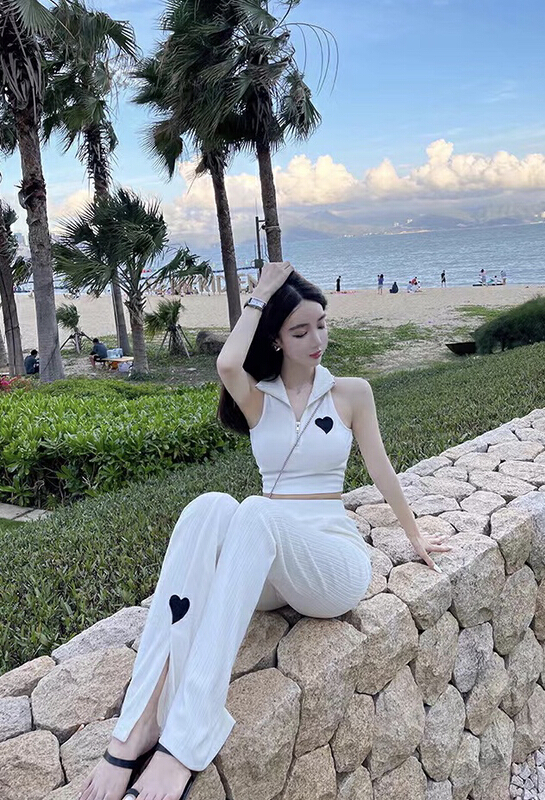 [HH] fashion zipper Vest + comfortable casual pants two piece suit 8307# LSL