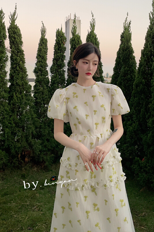 New year in early spring! [benyan] Korean lady backless flower dress 6032# zxx