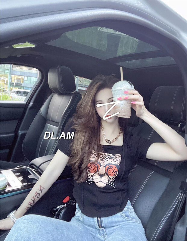 [dl. Am] tiger embroidery Pullover short sleeve T-shirt 80193# WPL