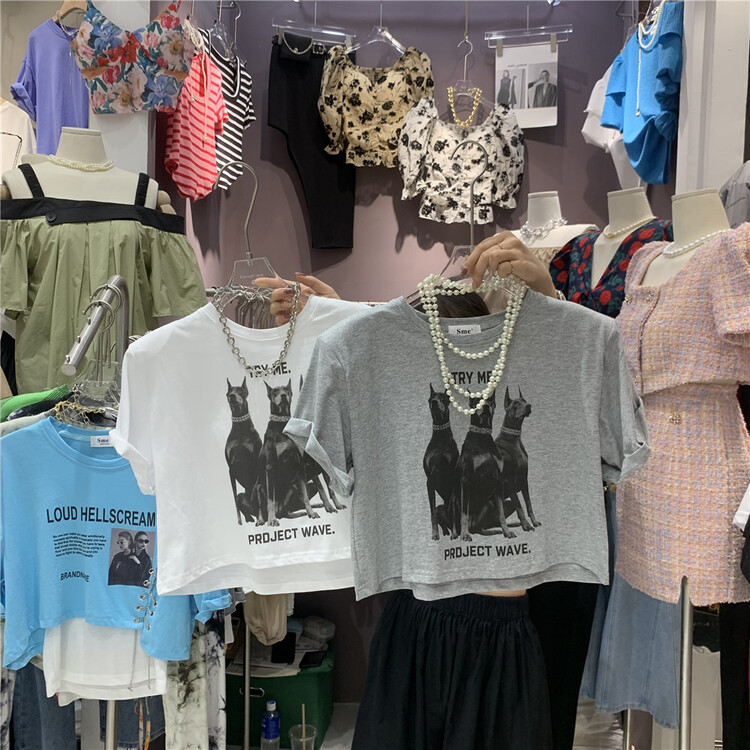 [SME +] handsome puppy short ins bandage short sleeve T-shirt 6225# cqw