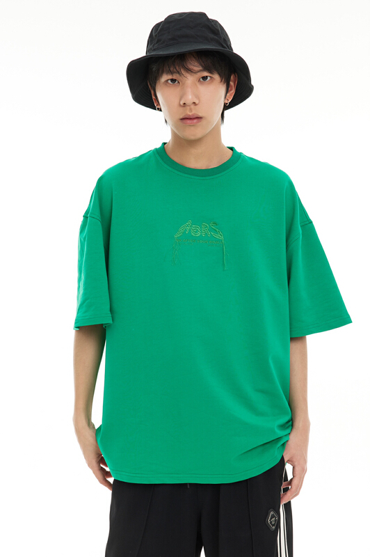 New in early summer! [Tess] Korean fashion trend short sleeve T-shirt lost2434# ZZL