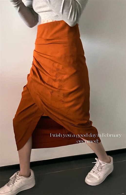 New year in early spring! [open] slim and versatile skirt 3363# XYJ