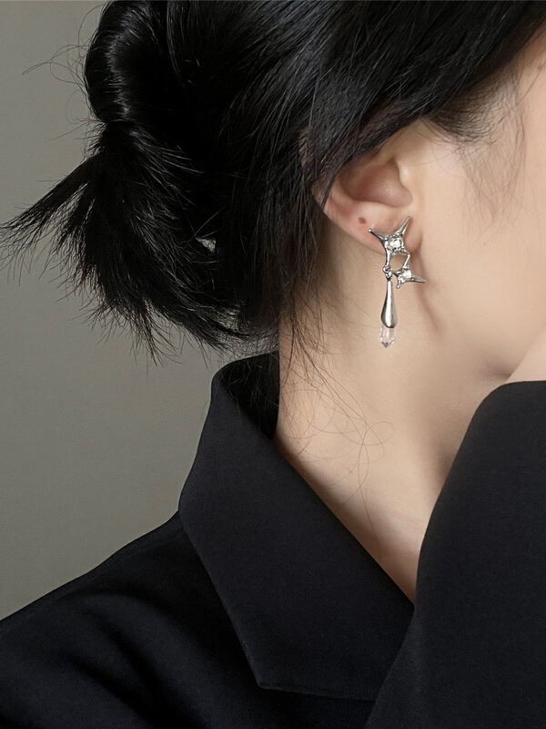[inside] Korean minority Design Earrings r3151# zxl