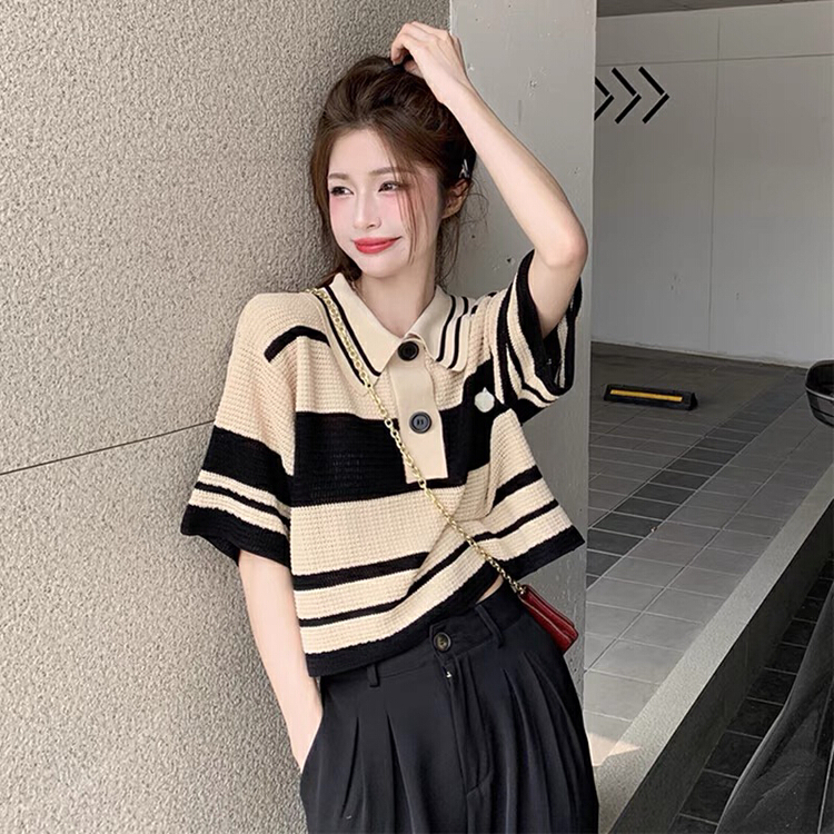 [f · P] Vintage Polo neck stripe short T-shirt 853# HBx