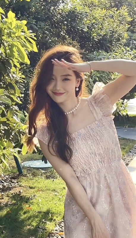 New in early summer! [JH] net red Xiaoxiang Feifei sleeve embroidered Fairy Dress (only dresses) 41511# PCZ