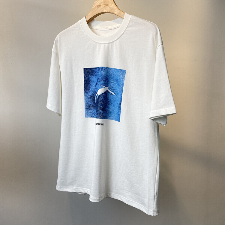 New in early summer! [TPY] Korean casual printed short sleeve T-shirt 6106# ZZL