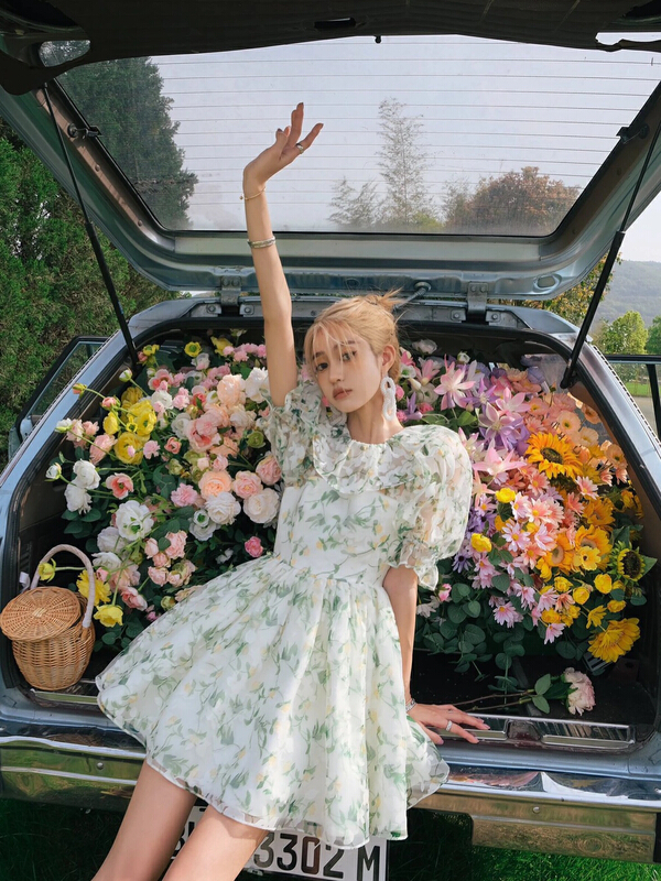 [Alala] niche design floral puffy dress l1602# JJ