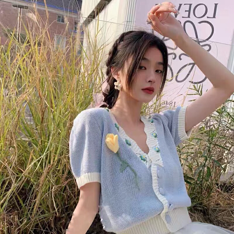 New in early summer! [Danling] embroidered three-dimensional flower sweater 1023# PCZ