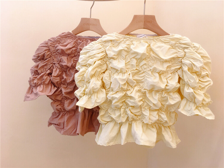 [Cupertino] Korean style net version sweet basic versatile blouse 2022-3# WPL