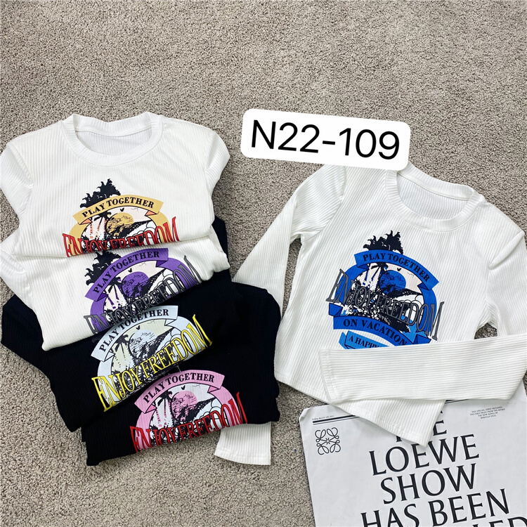goods in stock! [N9] Korean slim fit and versatile long sleeve T-shirt 22-109# zyh