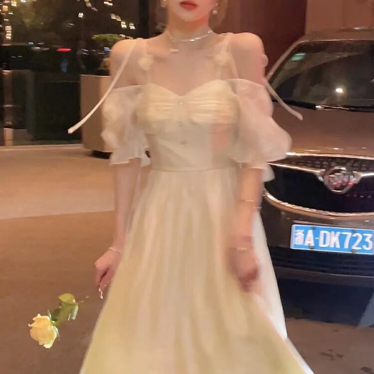 [w design] Korean Xianqi slim dress 18041# WPL