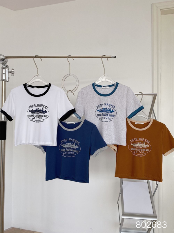New year in early spring! [June] contrast round neck elastic cotton short sleeve T-shirt 802683# XYY