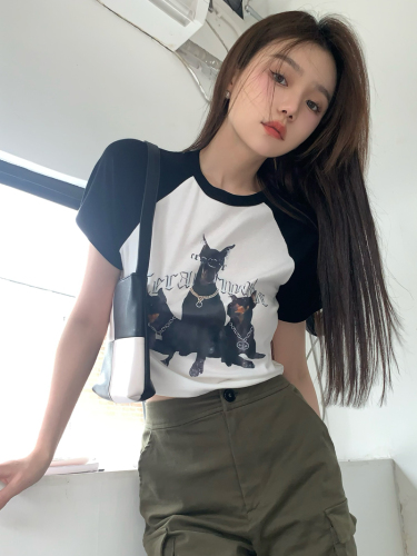 Real shot of summer Hong Kong Style American retro Three Dog Print slim fit color matching short sleeve T-shirt hot girl top