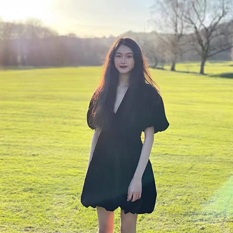 [S. small age] French retro bubble sleeve dress 9932\hjy