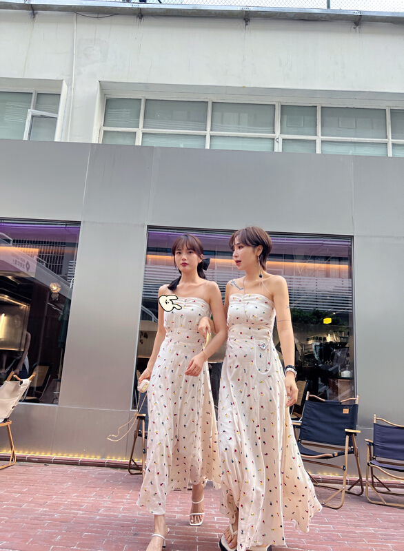 [semi plain] French suspender temperament embroidered dress ys1-370\zjy