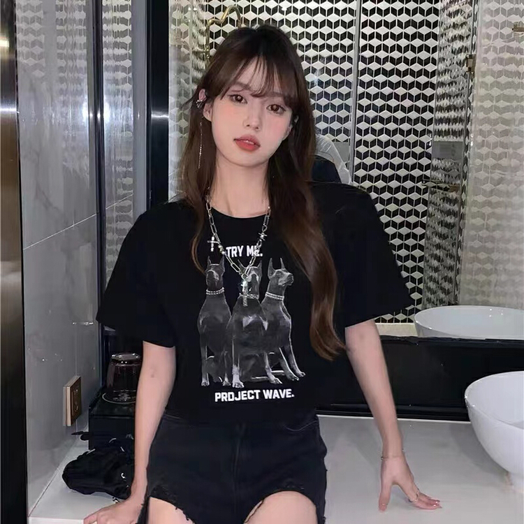 [[top]] hot girl European American short ins short sleeve T-shirt ys1-7029\zjy