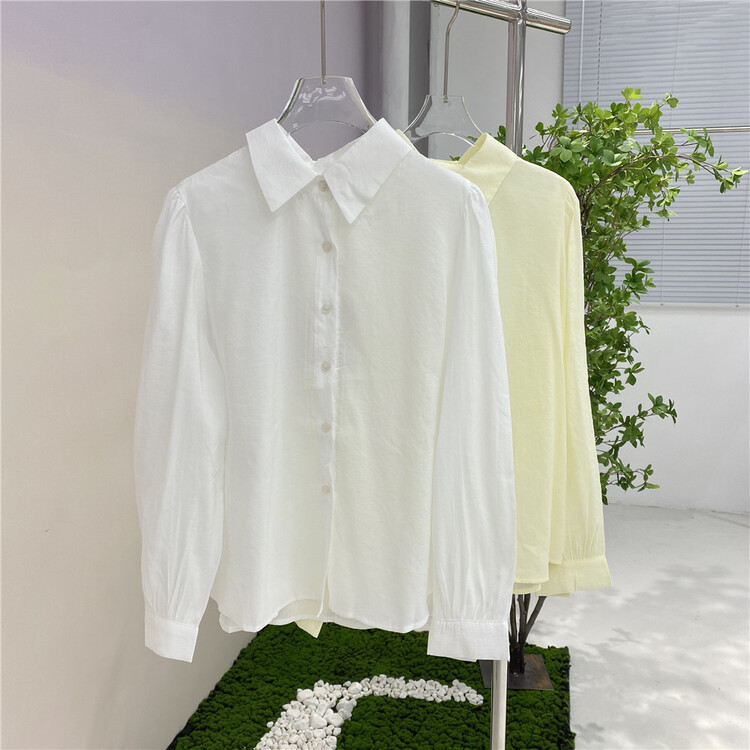 New year in early spring! [HS customized in Korea] Korean version micro transparent versatile shirt 26020-1\hjy