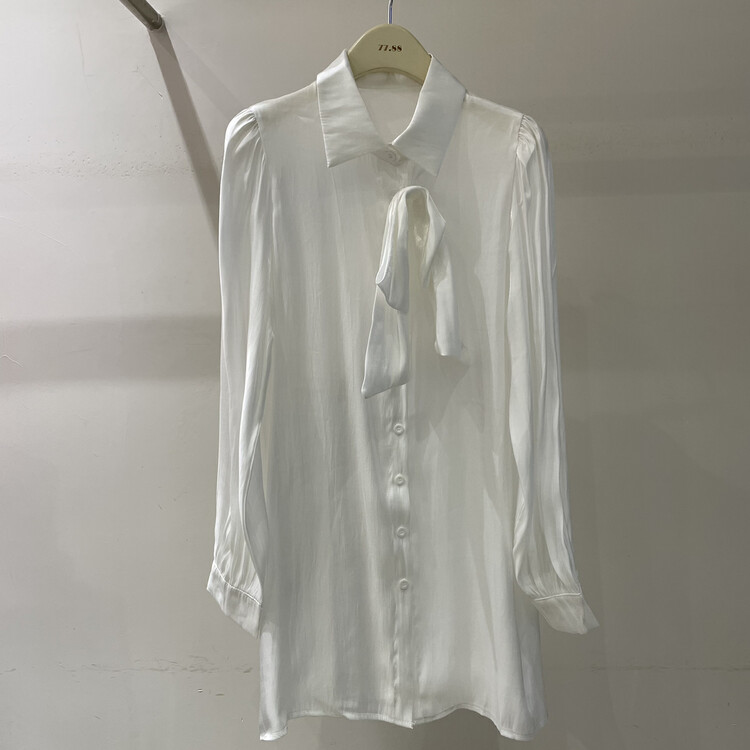 New in early autumn!【CHENANNLE】Loose and simple solid color shirt 5136# PCZ