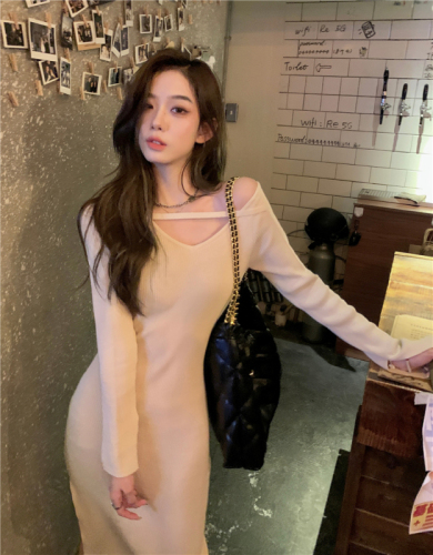 Real price real shot Early autumn new DoggyQin same long-sleeved knitted slim slit dress women