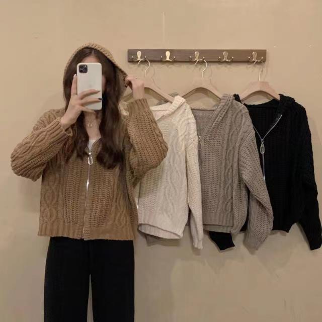 Lazy wind twist hollow knitted hooded cardigan women's autumn and winter new design Korean version loose sweater coat