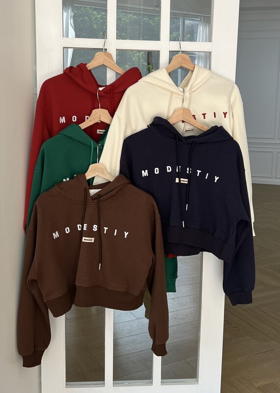 New in early autumn! [OUR] Korean casual short three-dimensional embroidered hooded pullover sweater 11991# LSW
