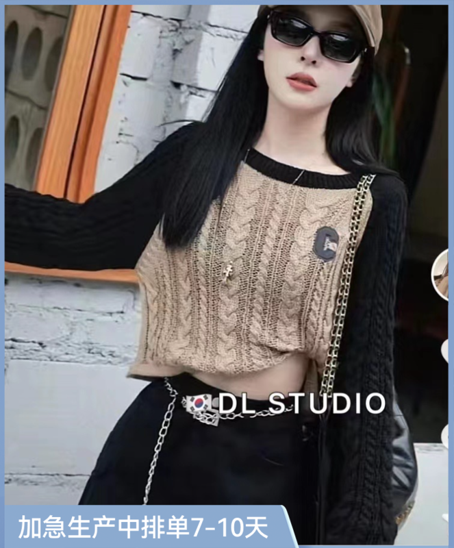 New in Autumn! [DL] Letter Embroidered Pullover Warm Sweater 68076# WTT