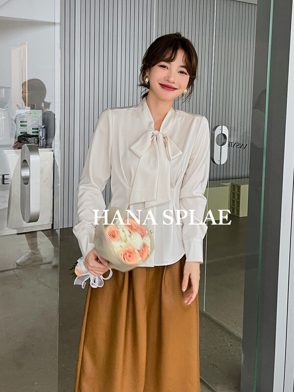 Autumn is new! [HANNA Hanna] gentle temperament V-neck temperament streamer intellectual long-sleeved shirt H10353# JHY