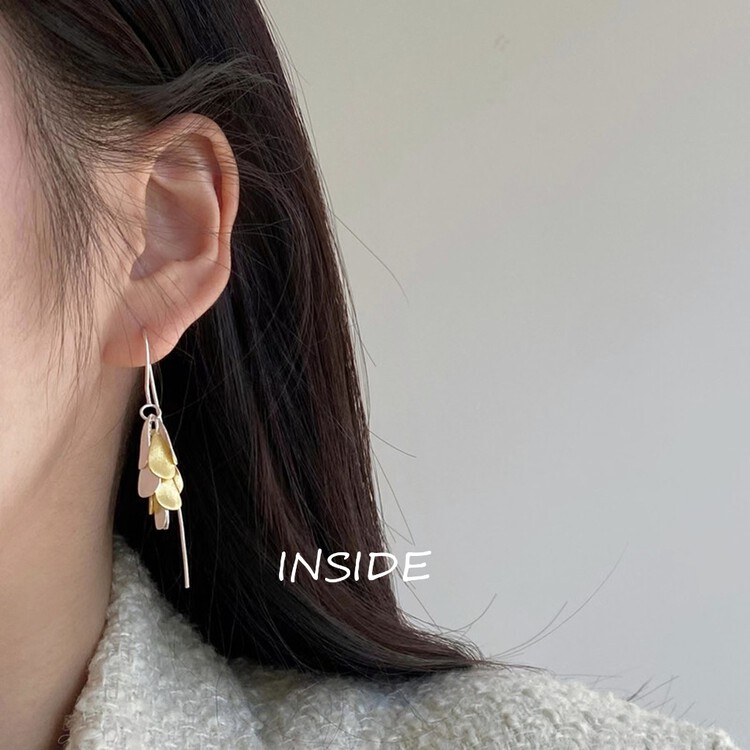 [INSIDE] High-quality light luxury tassel frosted small round earrings (with box random) R3400# ZXL