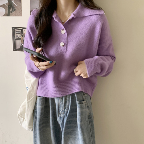 polo collar bottoming sweater women's spring and autumn new loose and lazy style design niche short knitted top inner wear