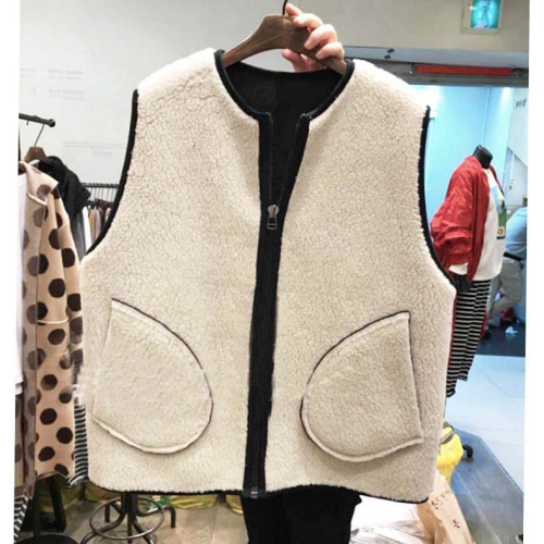 Korean chic autumn and winter new lamb velvet sleeveless vest vest women's design sense niche loose jacket ins tide