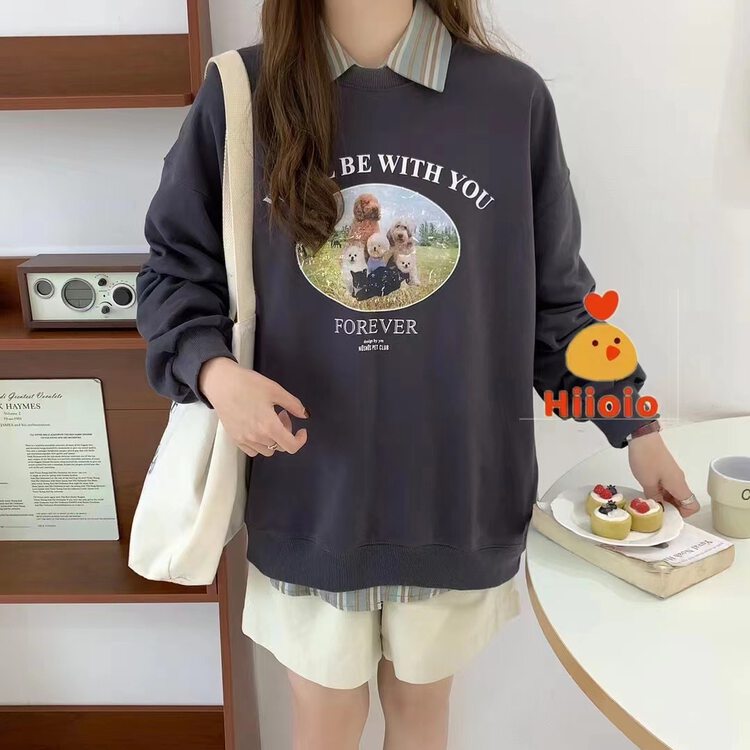 New in autumn! [RARA] Dog cartoon alphabet casual sweater 87138# LSL