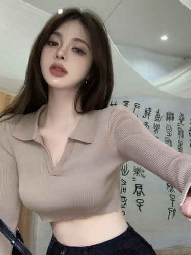Real shooting real price Autumn and winter Korean version all-match long-sleeved knitted bottoming shirt lapel short top with hot girl inside