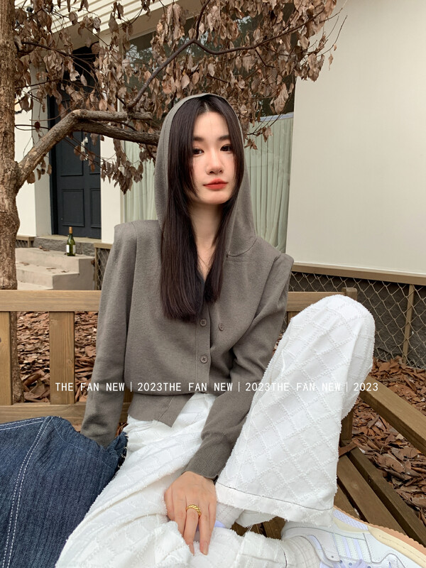 New in autumn! [THE FAN] Fashion hooded all-match knitted sweater 0018# ZXX