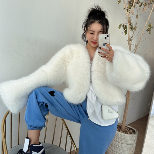 .  7 colors South Korea's Dongdaemun ins short eco-friendly fur fur plush gas lady coat